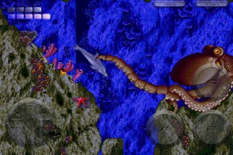 Ecco the Dolphin