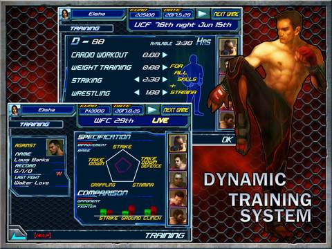 FighterTycoon