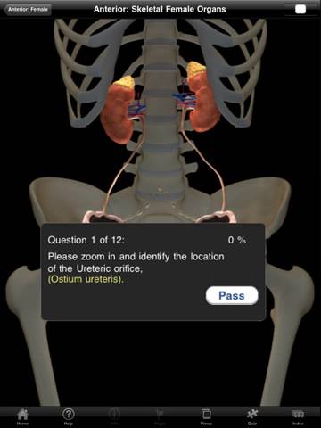 The Urogenital System - iPad edition