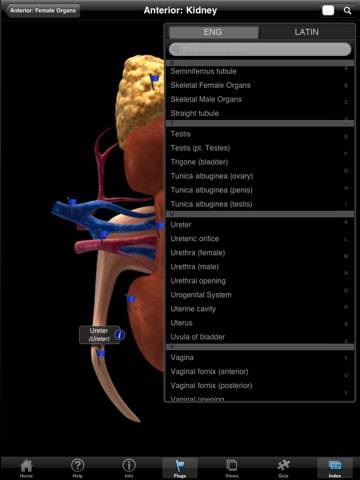 The Urogenital System - iPad edition