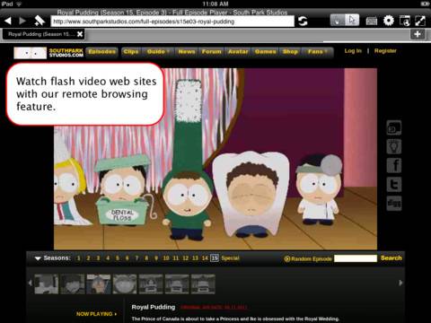 Flash Player