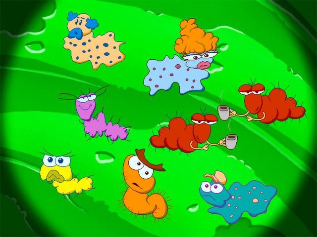 Colorful Fishing