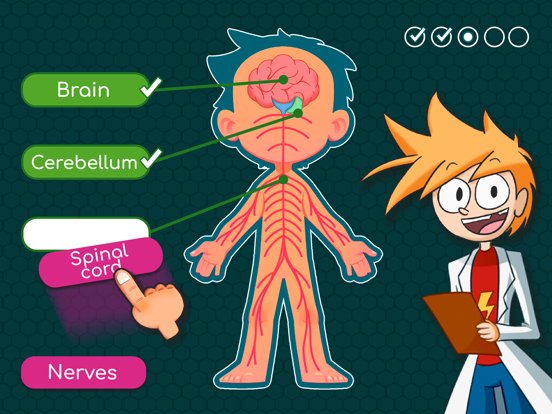 BodyQuest премия: Анатомия