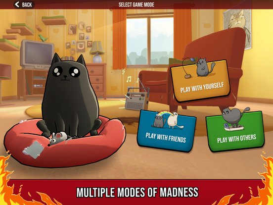 Exploding Kittens