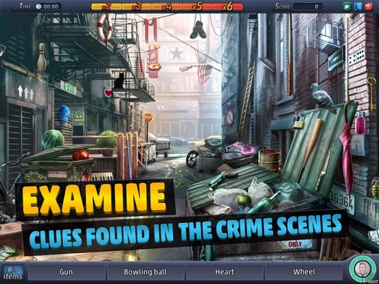 Criminal Case