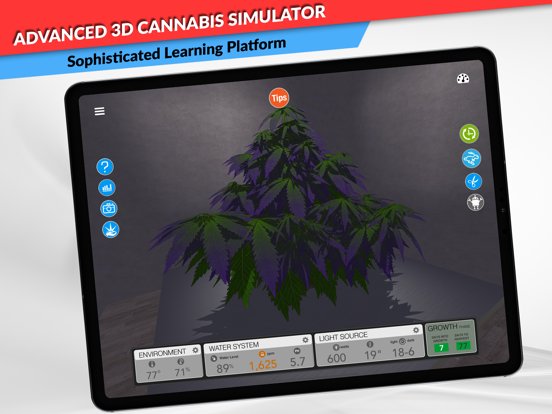 SimLeaf