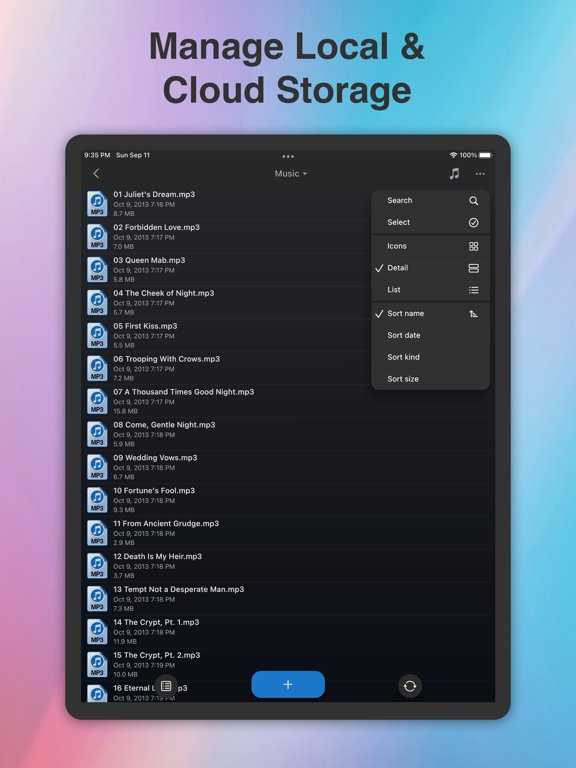 Phone Drive - File Manager