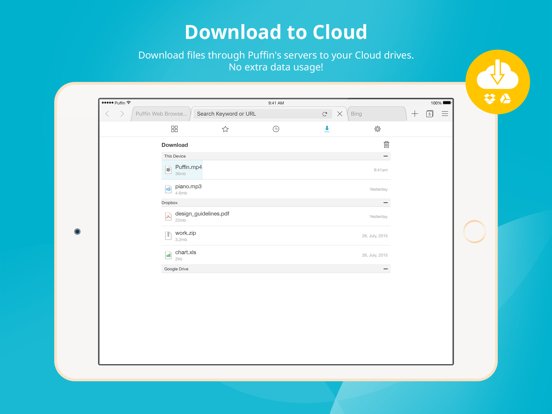 Puffin Browser Pro