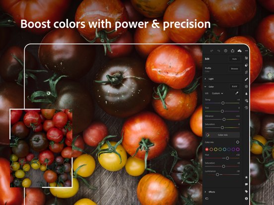 Adobe Photoshop Lightroom for iPad
