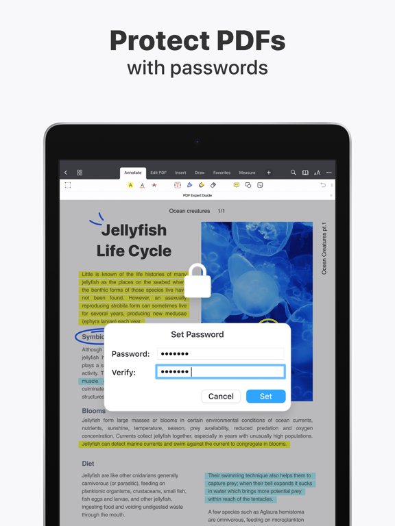 PDF Expert 