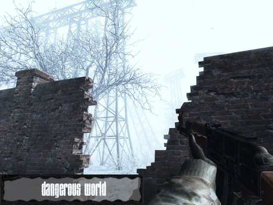Z.O.N.A Shadow of Lemansk