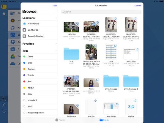 iZip Pro