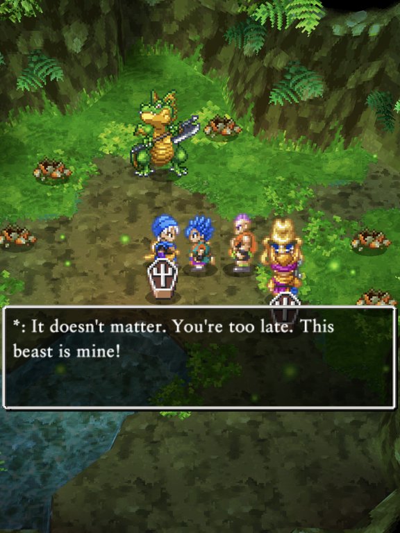 DQ6