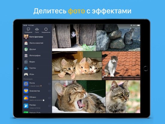 Мой Мир