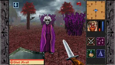 The Quest - Attack from Asteroids