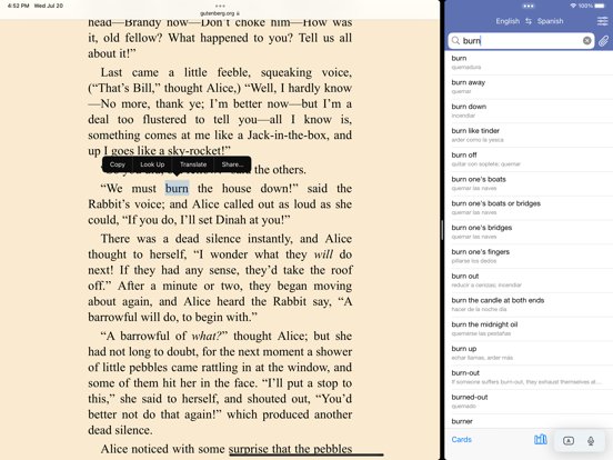 Lingvo Dictionaries: English ‹-› Spanish, French, German, Italian Dictionary Titles