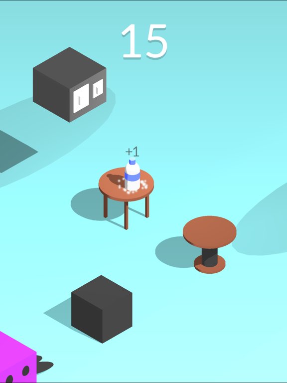 Bottle Flip