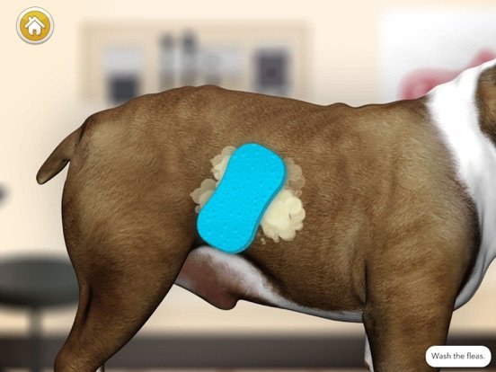 Dog Games: Pet Vet Doctor Care