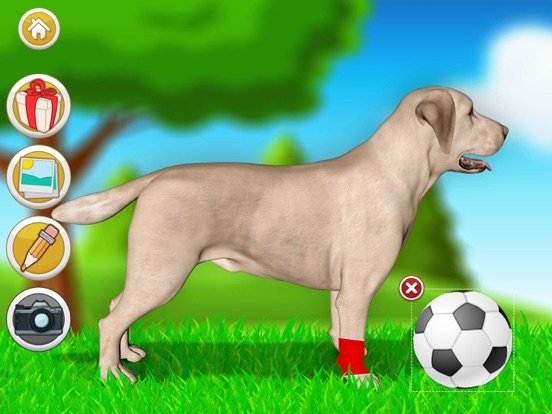 Pet Vet Doctor Dogs