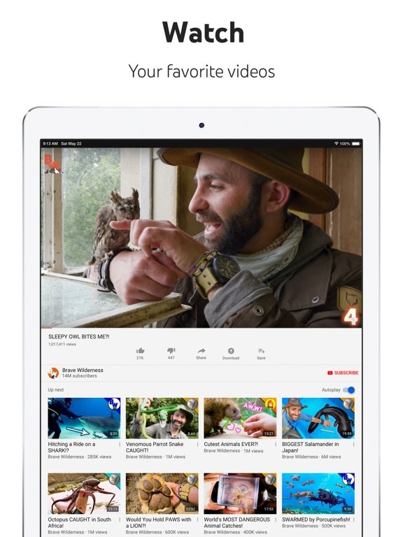 YouTube