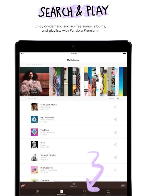 Pandora Radio