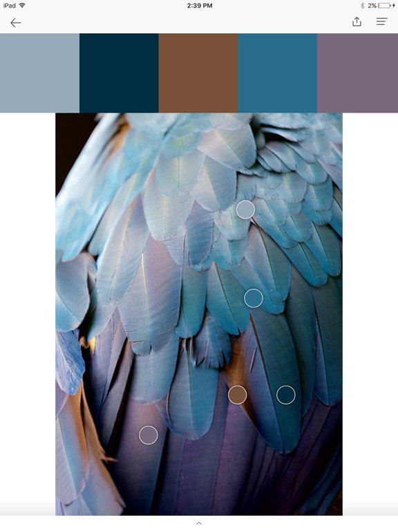 myPANTONE