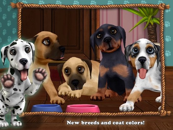 DogWorld Premium