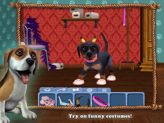 DogWorld Premium