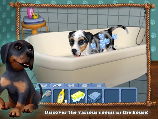 DogWorld Premium