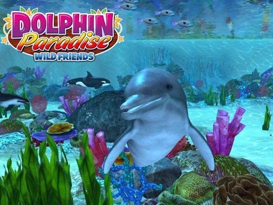 Dolphin Paradise: Wild Friends
