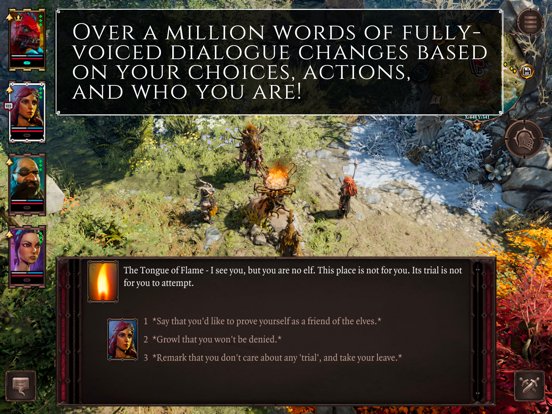 Divinity 2