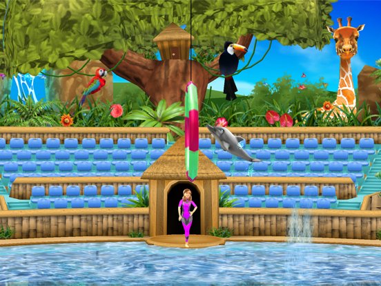 Dolphin Show