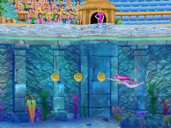 Dolphin Show