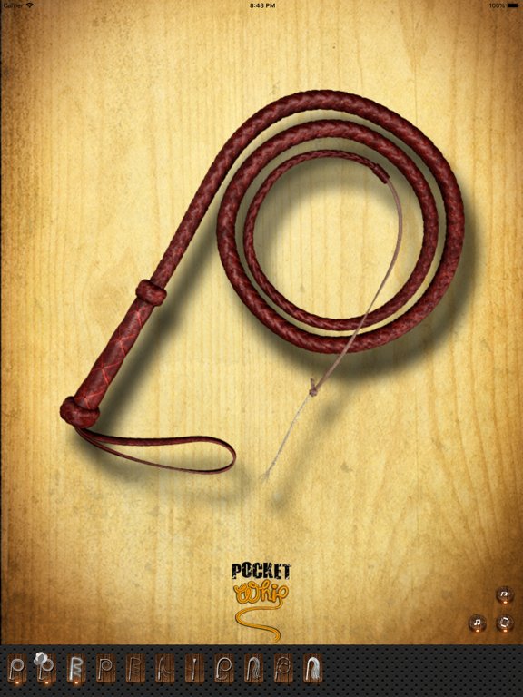 PocketWhip