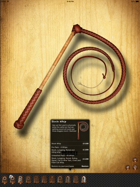 PocketWhip