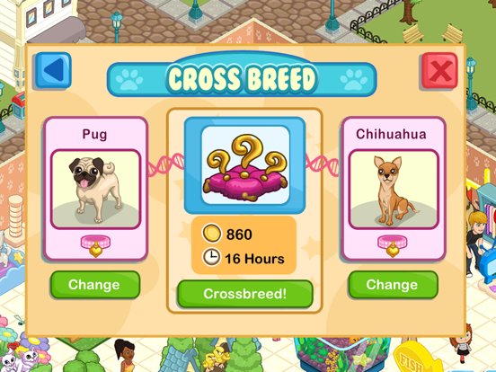 Pet Shop Story