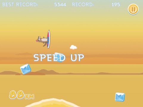 South Surfers