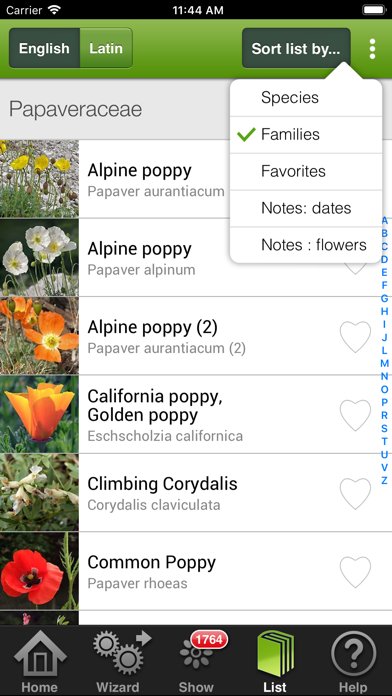 Fleurs en poche