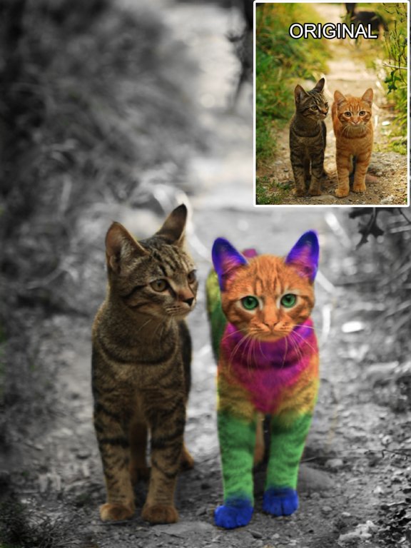 Color Effects - recolor/splash colors on images and Facebook photos