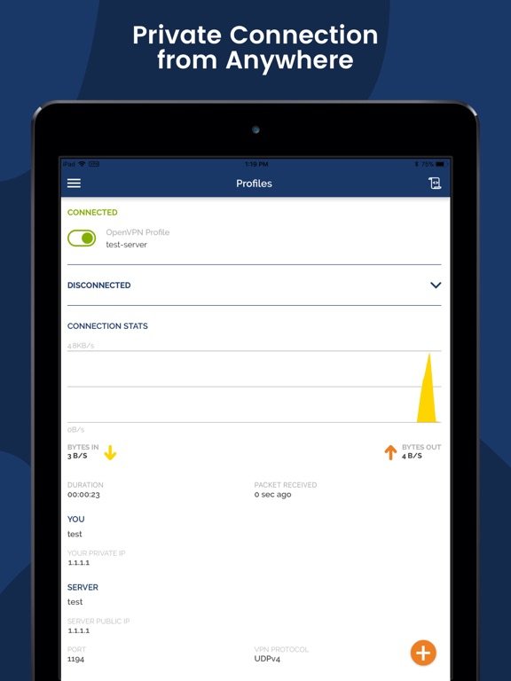 OpenVPN