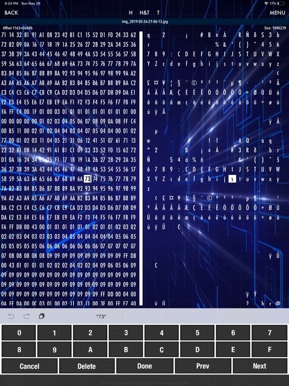 HEX Editor