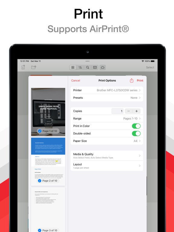 PDF Pro