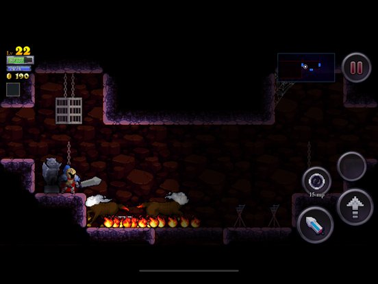 Rogue Legacy