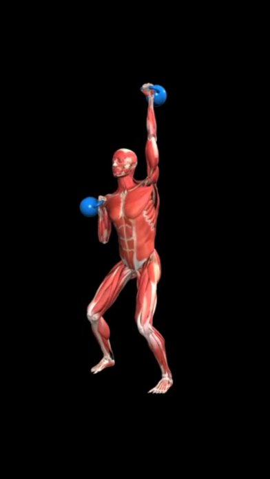 iMuscle 2 - iPhone Edition