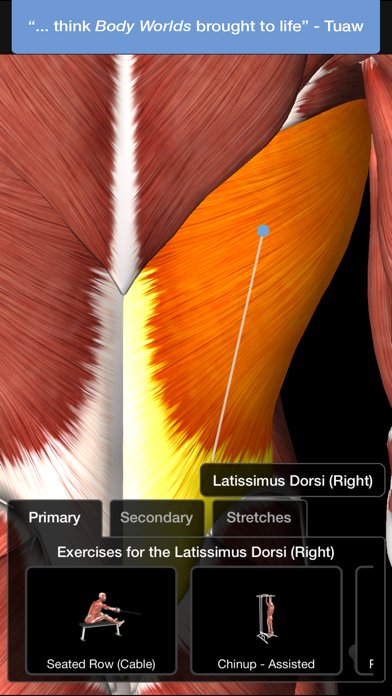 iMuscle 2 - iPhone Edition