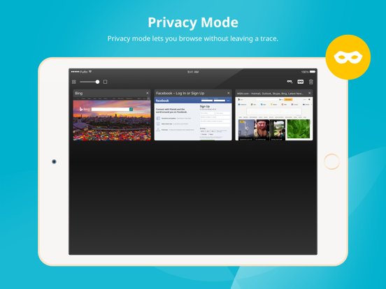 Puffin Browser Pro