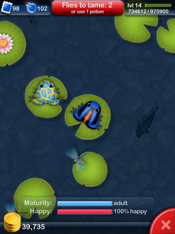 Pocket Frogs: Tiny Pond Keeper