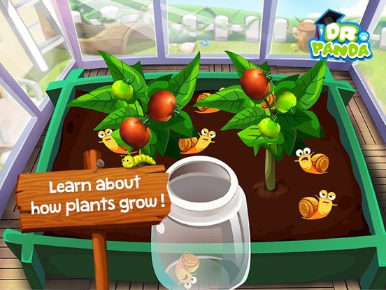 Dr. Panda Veggie Garden