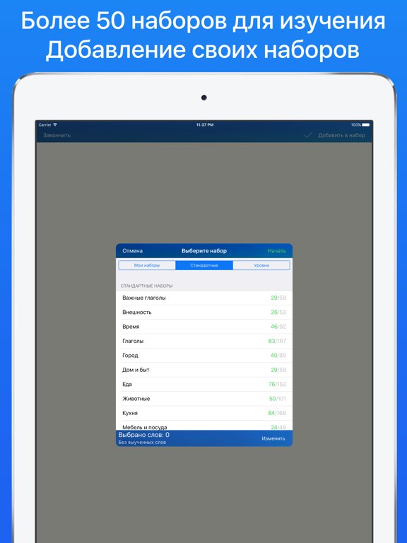 Английский язык с MyEnglish: слова и грамматика