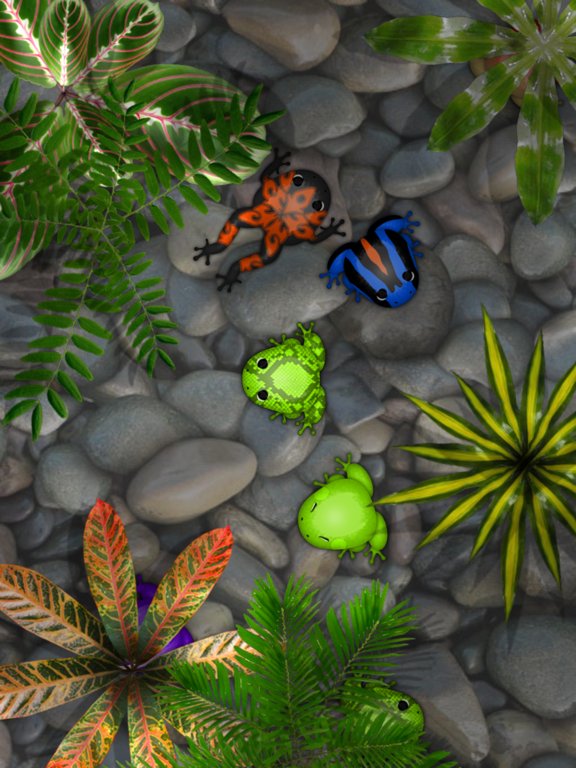 Pocket Frogs: Tiny Pond Keeper